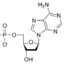 Nucleic Acid