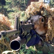 Hamster Hysterique - steam id 76561197965521692