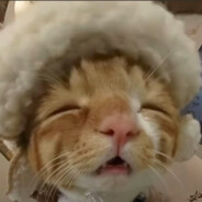 秃头老男人火辣辣