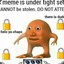 riht   into   fiealings