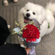 辣丝只想拿第二