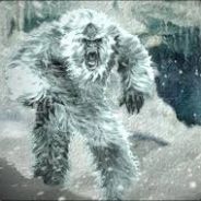 Yeti