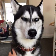 我要装备！！！