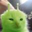 glorpLenoX