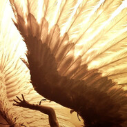Zeal-