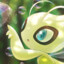 Celebi