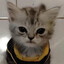 Avatar of Jules