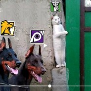 盗我号可被被我定位到