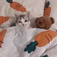 社会主义核心价值观