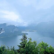 求求你让我一下吧