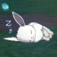 󠀡　⁧⁧zzz