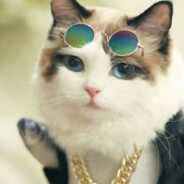 成龙大哥砍沙城