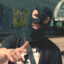 ahmed