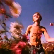 улетаю на гаити