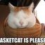 BasketCat
