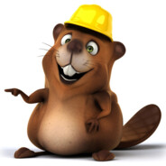 河里河狸很合理