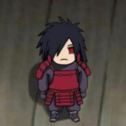 我家猫会旋风三连踢