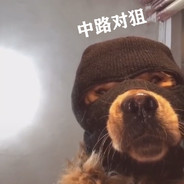 刑事组之虎曹达华