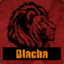 Blacha