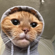 MersiK