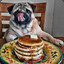 Pancake Pupper