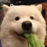 哈基米南北绿多阿西嘎