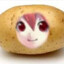 PoTeTo