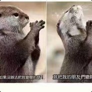 老司机都带不动