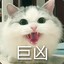 菲宝