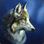 wolf_pack1211