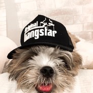 @OriginalGangstar_