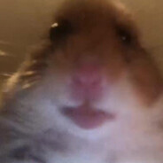 джунгарик Okey rust