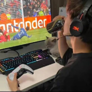 今日无事勾栏听曲