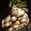 DIO