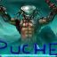 Puche