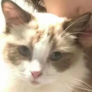 杨福昆天天开心