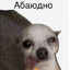 Король Абаюдно