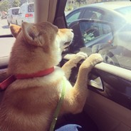 那个男人他lei了