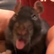 新世纪只因战士