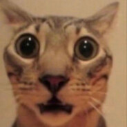 𝓟𝓻𝔃𝓮𝓶𝓸