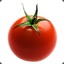 TomatoSexyHot