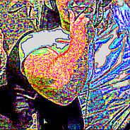 Brash aka Jalostaja