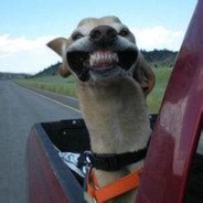 二仙桥要走成华大道