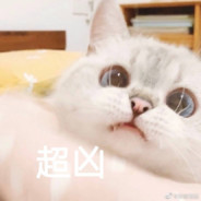 没什么事我就先挂了