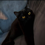 吃饭睡觉送人头,指望我不如指望猪