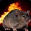 Fire Rat
