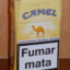 Camel