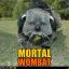 Mortal Wombat