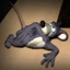 Deny's avatar