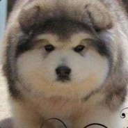 隔壁老宋一打五